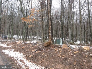 0 Off Cold Run Valley Rd unit 1000289098, Berkeley Springs, WV 25411 - photo 7