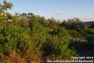 8714 Terra Mont Way, San Antonio, TX 78255 - photo 3