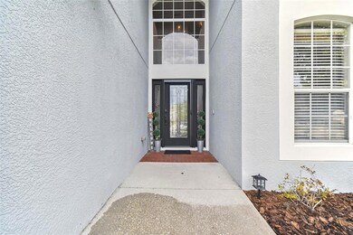 9625 Baton Rouge Ln, Land O Lakes, FL 34638 - photo 4