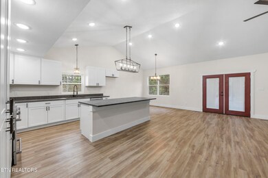 1518 Broad River Ln, Sevierville, TN 37876 - photo 4