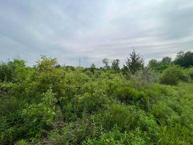 12524 Aboite Rd, Roanoke, IN 46783 - photo 5