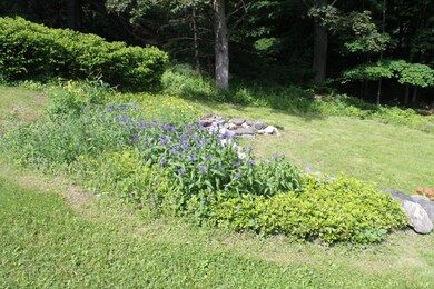 Lovely flower garden