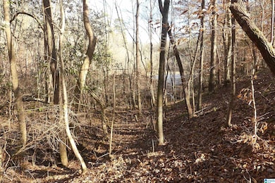 LOT # 9 Harbour Point Dr unit 9, Delta, AL 36258 - photo 4