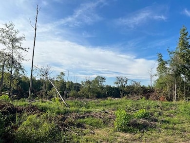 0 Curry Rd, Monroeville, AL 36460 - photo 2