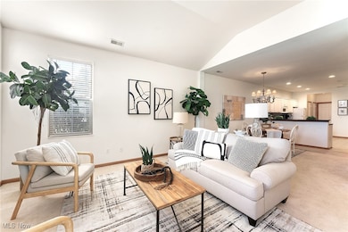 9151 Springfield Rd unit 1603, Youngstown, OH 44514 - photo 2