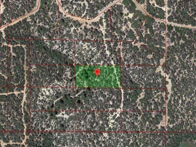 Google Earth Approx Outline