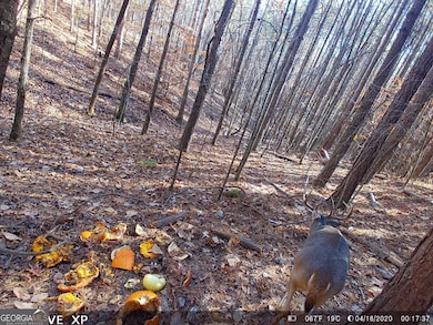 0 Husley Trail, See Remarks, GA 30114 - photo 3