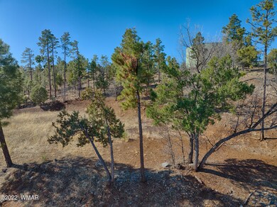 DJI_0262_HDR