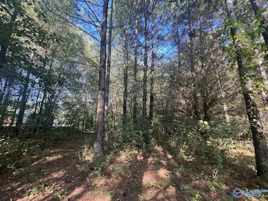 Tract 1 Williams Rd, Athens, AL 35614 - photo 5