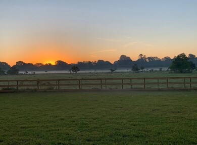 31626 Johlke Rd, Magnolia, TX 77355 - photo 5