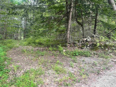 0 Monument Rd unit 5055384, Richmond, NH 03470 - photo 2