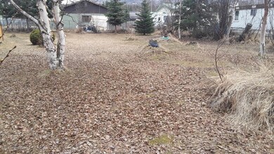 thumbnail_20190416_140328