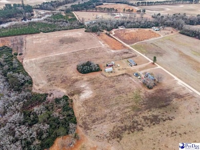 TBD Bryant St, Darlington, SC 29540 - photo 4