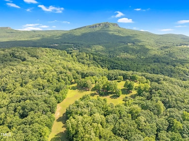 0 Cherry St unit 10101409, Danbury, NC 27016 - photo 7