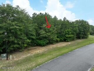 173 Deer Pointe Drive Lot 9
