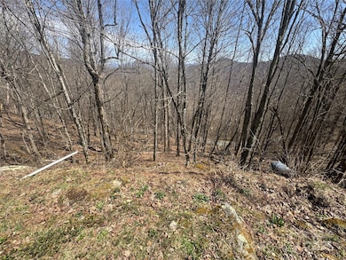 14 & 16 Overlook Dr, Mars Hill, NC 28754 - photo 3