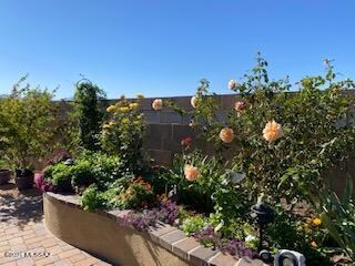 13932 - Garden