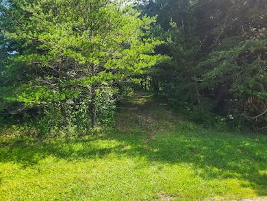 0 Alberta St, Oneida, TN 37841 - photo 2