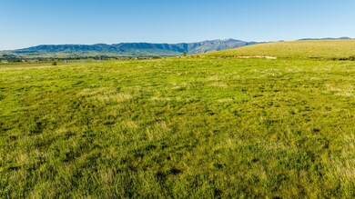 005_dji_20240606071134_0019_d_279
