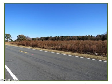 Lot 3 Wire Grass Rd, Orrum, NC 28369 - photo 6