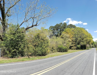 700 Academy, Fair Bluff, NC 28439 - photo 3