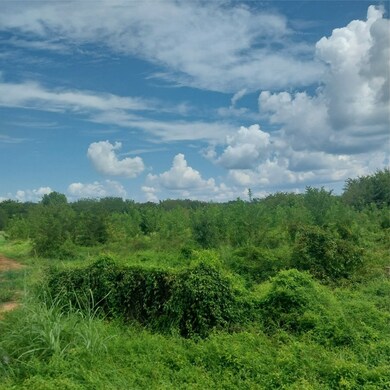 1085 Deen Point Rd, Benton, LA 71006 - photo 3