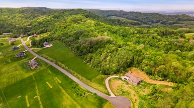 01_DJI_0927_mls
