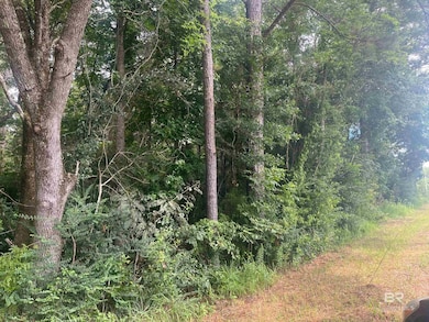 0 Mcdowell Rd, Bay Minette, AL 36507 - photo 3