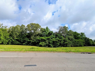 View of asphalt street featuring curbs and a forest view