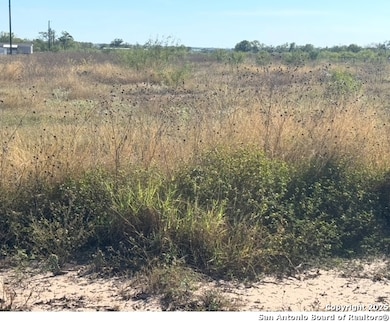 448 County Road 7712, Devine, TX 78016 - photo 3