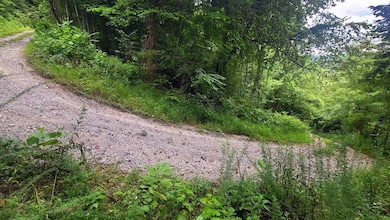 Conley Hill overlooking New River