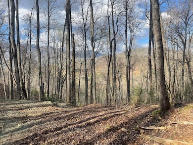 Lot 4 Copperhead Cove Rd, Sylva, NC 28779 - photo 2