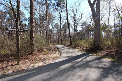 Middle Trail