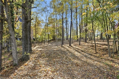 301 Bing Crosby Blvd, Bermuda Run, NC 27006 - photo 3