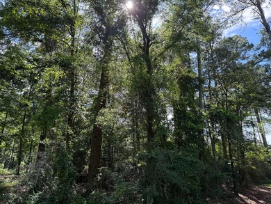 2 +/- Acres Hwy 49, Collins, MS 39428 - photo 5