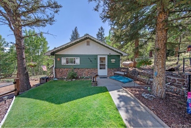 567 Forest Dr, Bailey, CO 80421 - photo 5