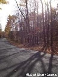 520 Floyd Ackert Rd, New Paltz, NY 12561 - photo 3