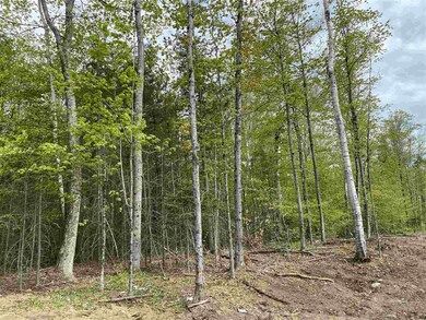 0 Long View Ln unit 3 4809140, Westmore, VT 05860 - photo 7