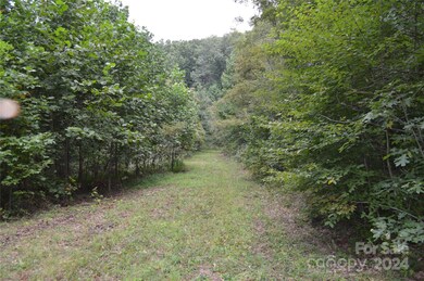 9999 Still Spring Rd unit Lot 4, Black Mountain, NC 28711 - photo 7