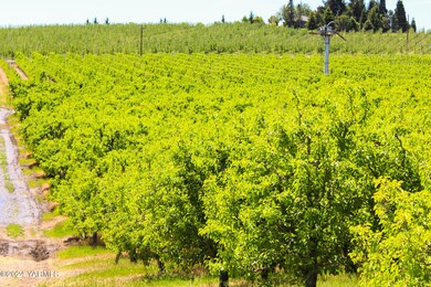 Orchard View