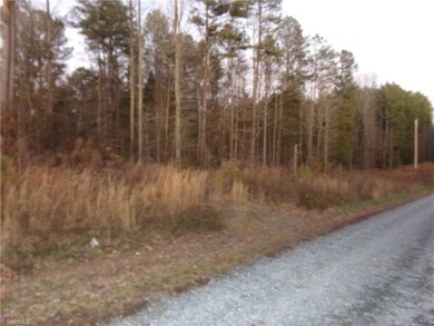 Tract 6 E Fork Dr, Seagrove, NC 27341 - photo 2