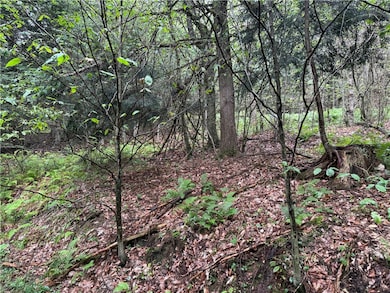 0 Alma Hill Rd unit R1637531, Alma, NY 14895 - photo 4