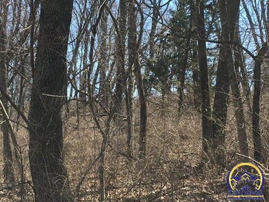 00000 106th Rd, Douglas, KS 66440 - photo 7