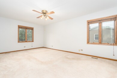 479 Cassin Rd, Naperville, IL 60565 - photo 7