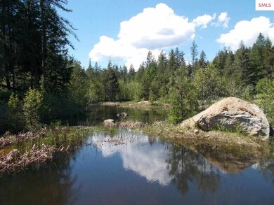 669 Forest Knolls Dr, Sandpoint, ID 83864 - photo 5