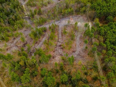 Map 67, 1-2 Sandy Knoll Rd, Tuftonboro, NH 03816 - photo 4