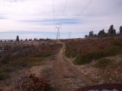 0 Bickleton Hwy unit 17 12542103, Bickleton, WA 99322 - photo 6