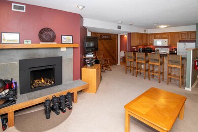 350 Mountain Rd unit 207, Ludlow, VT 05149 - photo 5