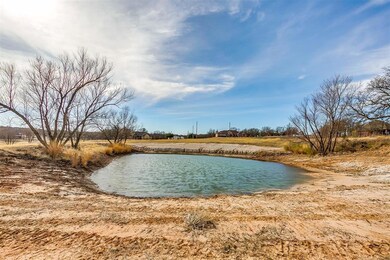 179 Falcon Dr, Weatherford, TX 76088 - photo 6