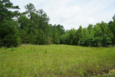 640 Barnes Rd, Pike Road, AL 36064 - photo 5